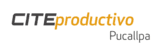 CITEproductivo Pucallpa logo